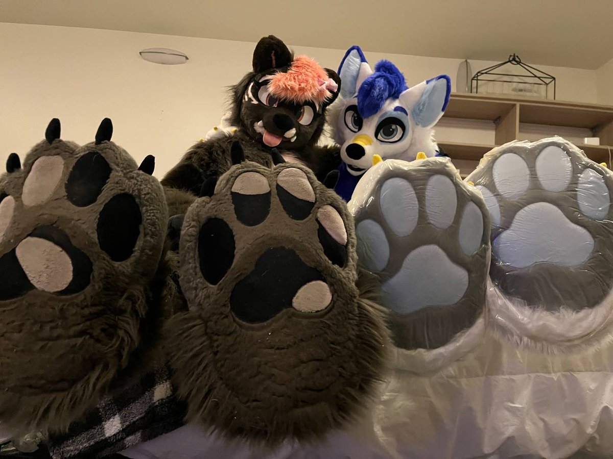 Pylthrarin 🐲 tweet media