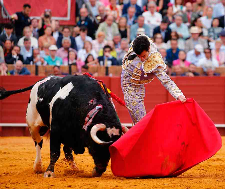 CRÓNICA (12ª Feria Abril).- Alcurrucén, un fiasco / Por @ManoloVieraN (sevillataurina.com/2024/04/19/377…) @sevillataurina @Toromedia12 @utaa_sevilla @isanchezmejias @luisdepauloba @ftorodelidia @JuntaSevilla @OneToroTV @JuntaSevilla @maestranzapages @MoranteTour @Tomasrufo_toros