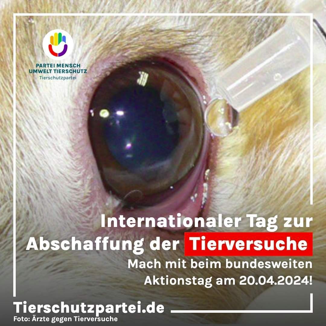 Mach mit! Hier findest Du die Übersicht über alle Aktionen gegen #Tierversuche am 20. April: aerzte-gegen-tierversuche.de/de/termine/bun…