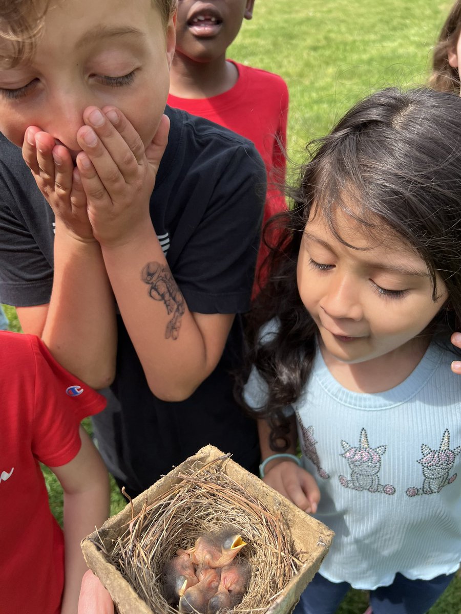 How important is it to use #naturalphenomena in teaching? Take a look at these faces and you decide! #citsci #nestwatch #citizenscience #GreenSTEM @amays_bwfund