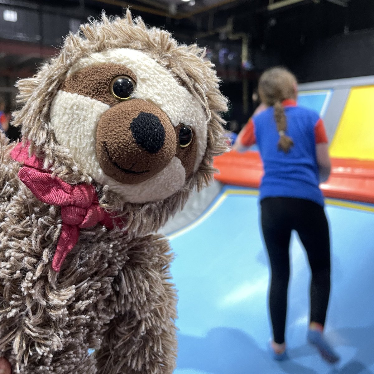SfidaTheSloth's tweet photo. What a busy night! Soar trampoline park with Guides and Rangers.

#girlguiding  #sleepover https://t.co/pm6xvLzQMd