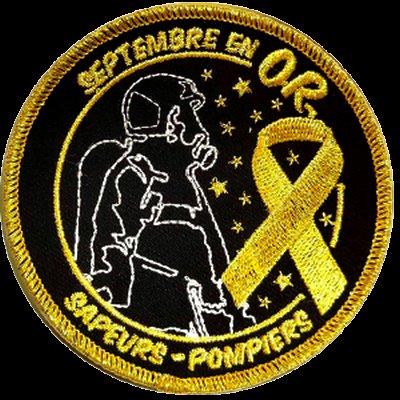 Bourbaki_pompiers tweet media