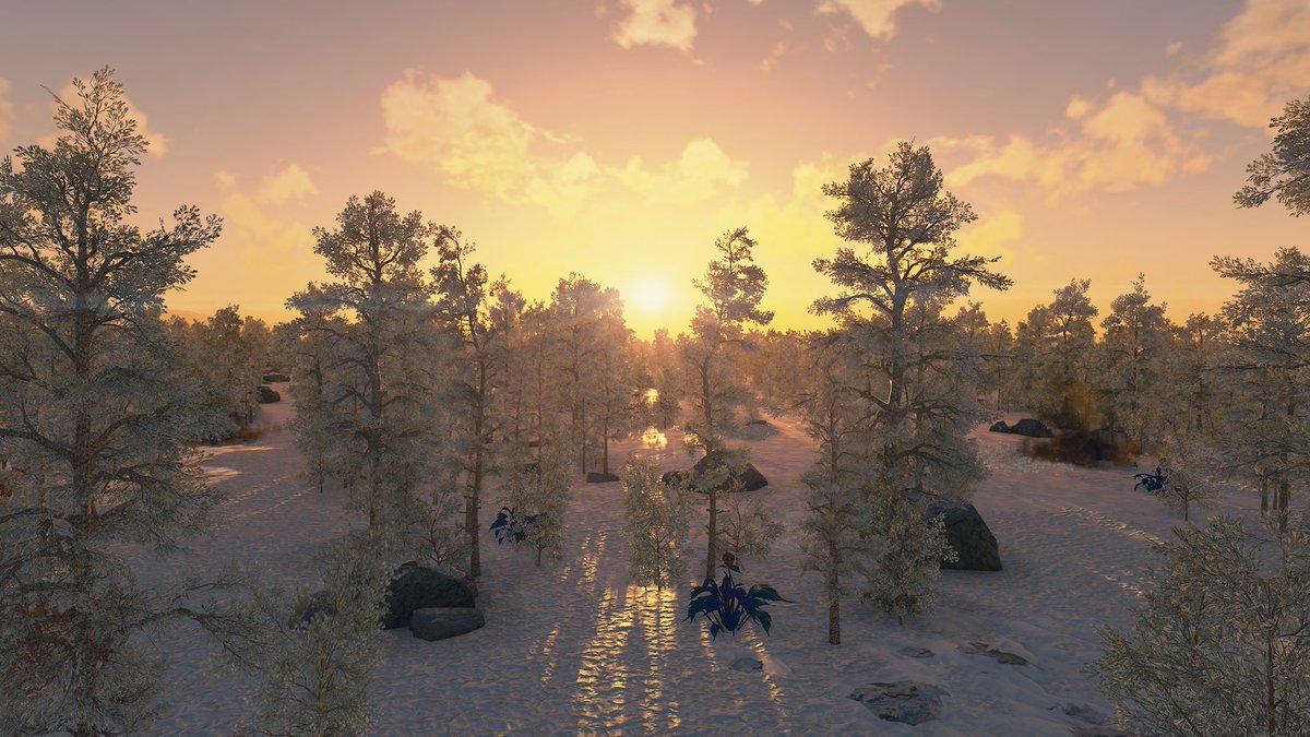 Jessica-Star ✨ tweet media