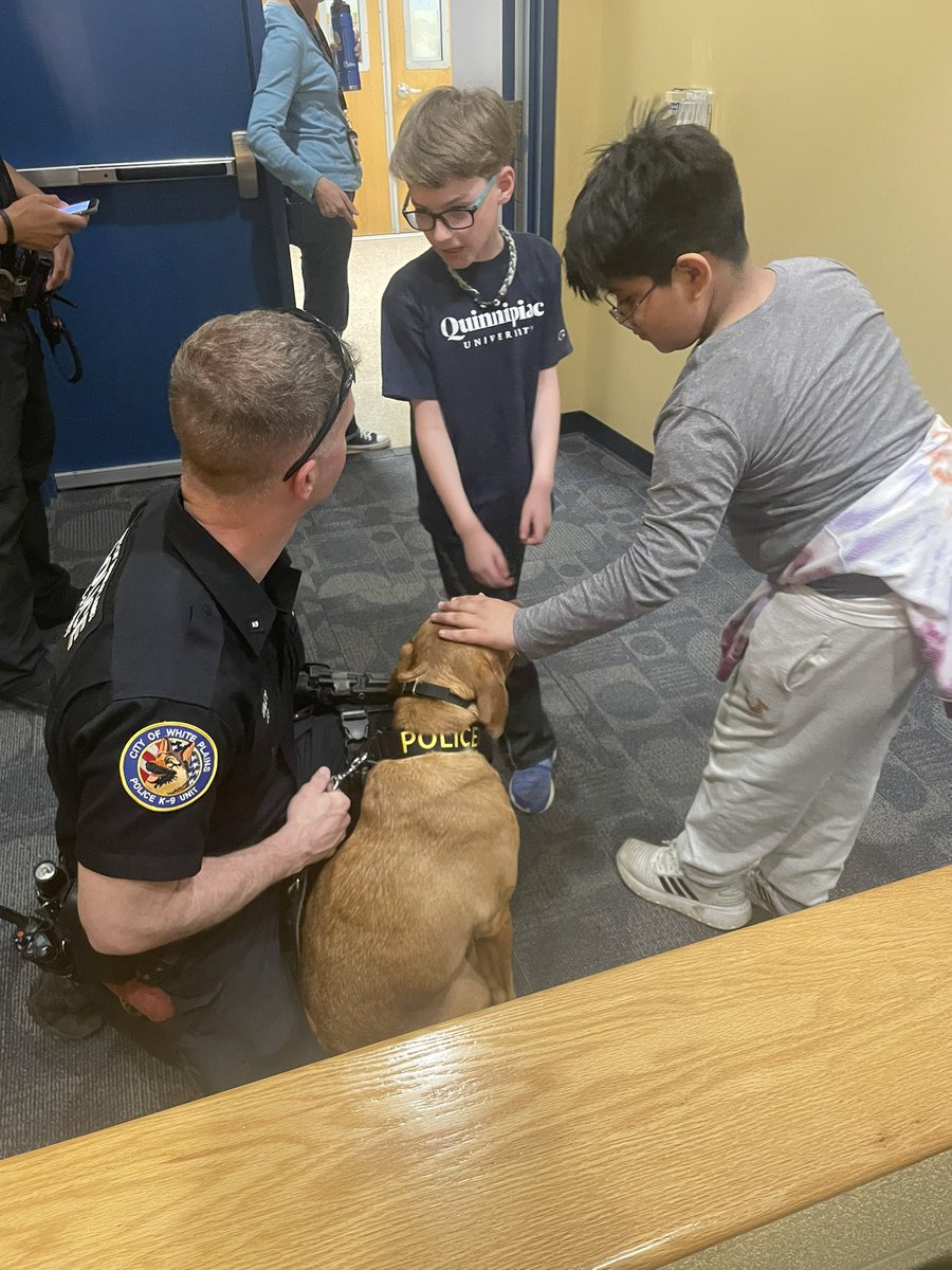 RSpedafino's tweet photo. Today @postroadschool we had a special visit from Hudson our White Plains Police Dog! Special thanks to our @cityofwp Police Officers for visiting @postroadschool #wpproud #postroadrocks #letsgo https://t.co/vEWAfqm0B3