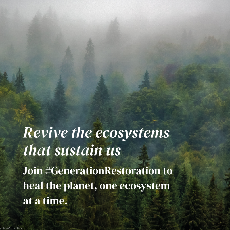 UNEP's tweet photo. Our planet is at a tipping point with global warming, massive biodiversity loss, and severe pollution and waste. But Monday’s Mother #EarthDay is a reminder that individual actions matter. Here are 5 ways to take action.