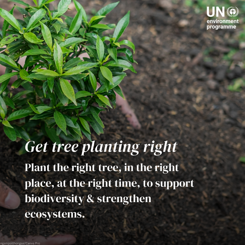 UNEP's tweet photo. Our planet is at a tipping point with global warming, massive biodiversity loss, and severe pollution and waste. But Monday’s Mother #EarthDay is a reminder that individual actions matter. Here are 5 ways to take action.