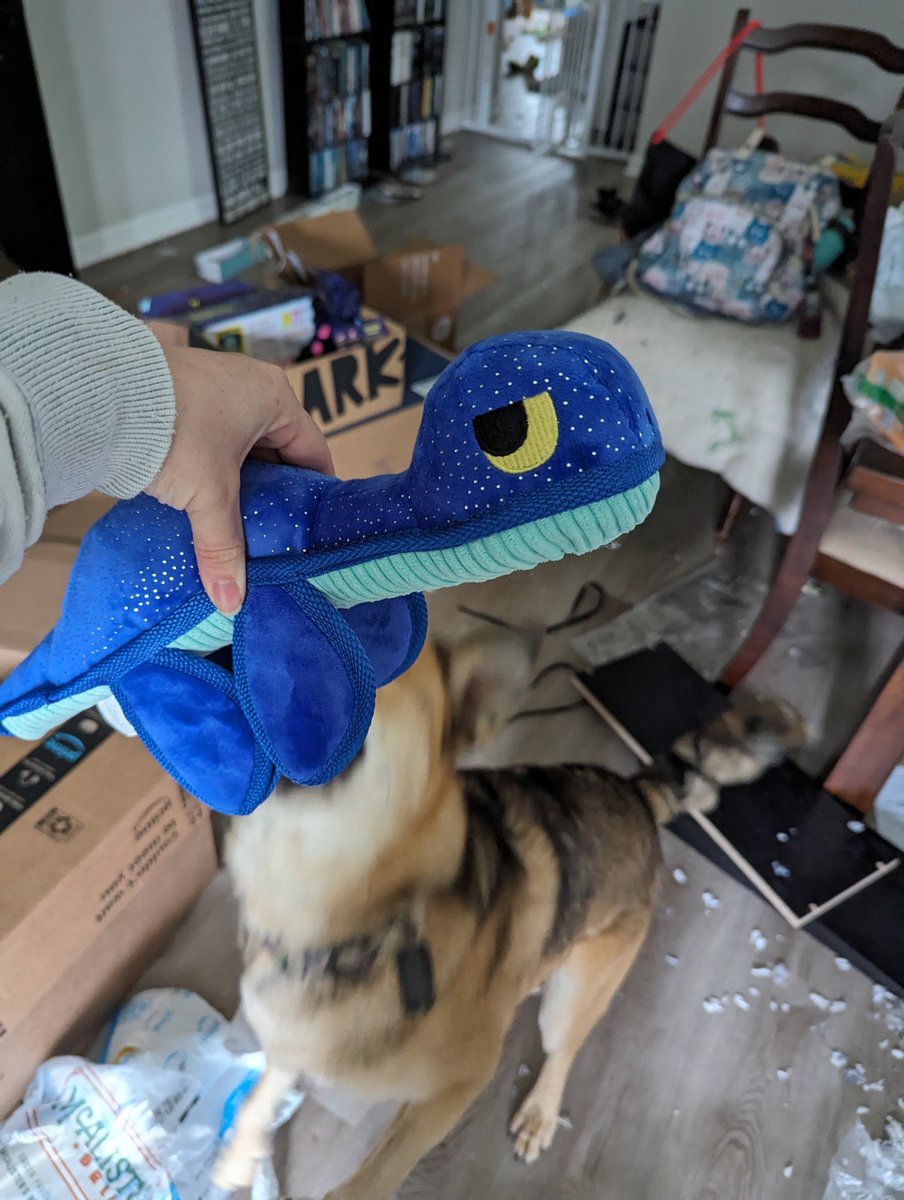 britlee93's tweet photo. @MyFavMurder @KarenKilgariff @GHardstark  my favorite barkbox yet! The fucking mothman and nessy! Eevee approves too. @barkbox https://t.co/p2n2hbMo5P