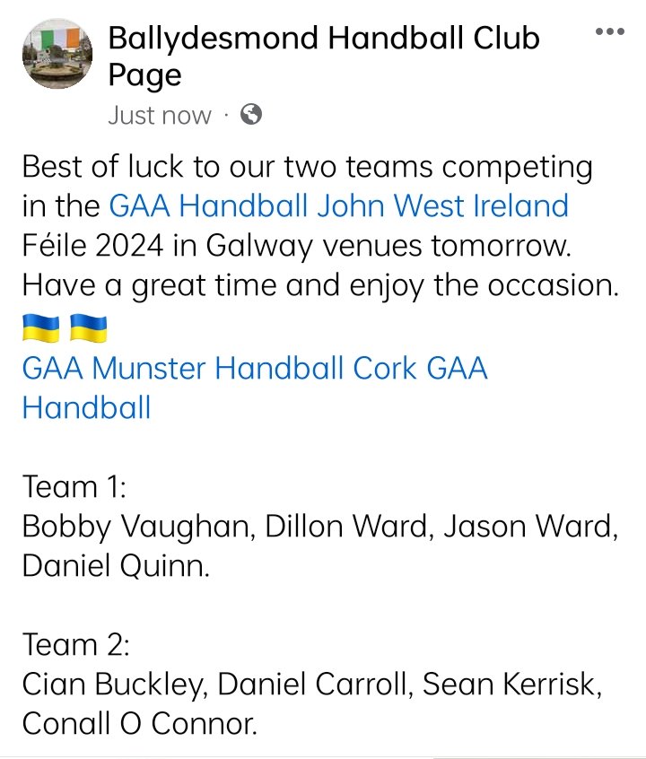 Ballydesmond Handball Club tweet media