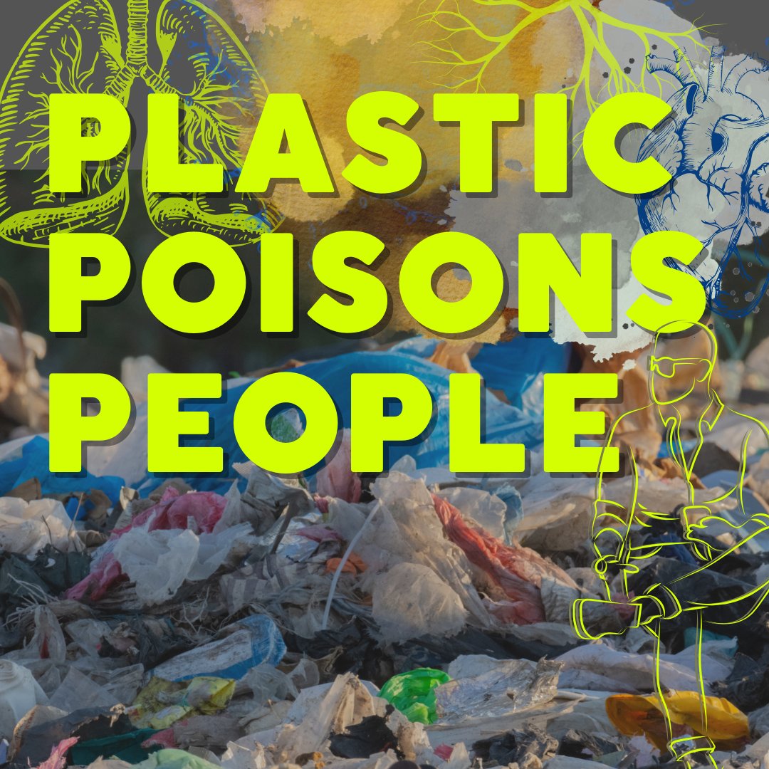 Usage and production of plastic worsens human health causing cancer, diabetes, obesity, respiratory issues, hormone disruption, asthma, fertility, and reproductive issues. Sign the #PlasticsTreaty petition to protect human health bit.ly/global-plastic… #ToxicPlastics #INC4