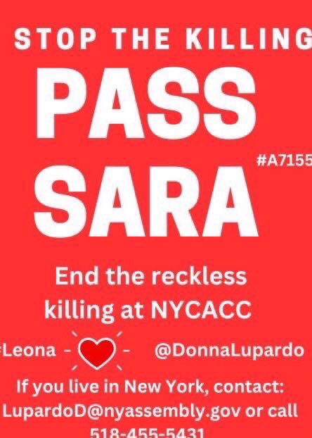 READ THE COMMENTS BY HORRIFIED PEOPLE FROM BOTH #NYC & OTHER COUNTRIES & MAKE #HUMANE CHANGES ASAP @GovKathyHochul @SenatorHinchey @DonnaLupardo @NYCMayor @NYCComptroller BRING UP THE #SARA VOTE & STOP THIS #KILLING OF STRAY & ABANDONED PETS TRULY A TERRIBLE STAIN ON #NewYork