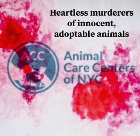 @TomJumboGrumbo 💀💀💀MURDERERS💀💀💀

👇👇👇👇👇

@NYCMayorsOffice @NYCACC @GovKathyHochul @manhattanbp1 @reynosobrooklyn @7onyoursideny @aspca @humanesociety @humanesocietyny @nbcnewyork @cbsnewyork @news12 @newsday @nytimes @nypost @nydailynews @donnalupardo @senatorhinchey @theanimalvoters