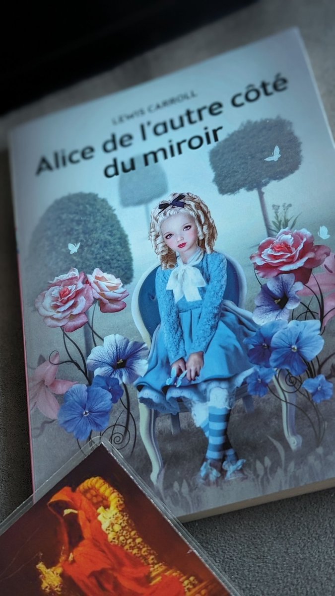 Ça n'a toujours aucun sens !🤣 #lewiscarroll #alicedelautrecôtédumiroir
#throuhhtthelookingglassandwhatalicefoundthere