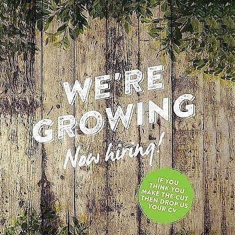 PottingShedBev's tweet image. 🪴🌿We are Growing 🌿🌱

-We are looking for Chefs, Part time Front of House and a Weekend Cleaner 🧼👨‍🍳

- Please feel free to pop in for a chat or send over your CV to beverley@pottingshedbar.com 

#ThePottingShedBeverley #BeverleyJob #ChefJob #Cleaner