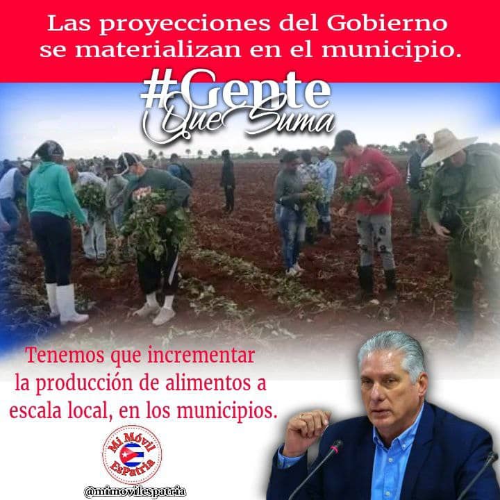 La producción de alimentos en cada municipio, tarea vital. #GenteQueSuma #QueNadieQuedeAtrás #YoSigoAMíPresidente #UnidosXCuba #UnidosSomosMásFuertes #