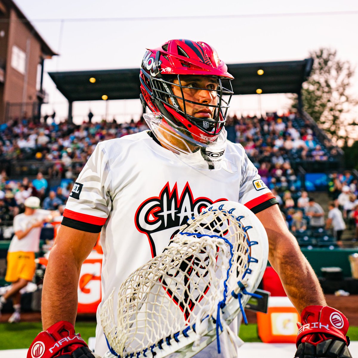 we've signed goalie Mike Adler from the player pool ‼️🦂