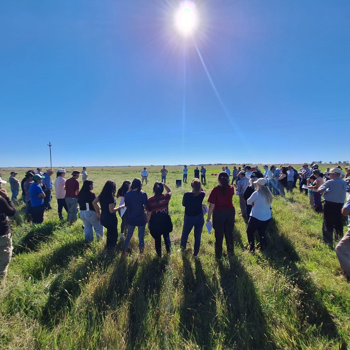 #Ahora en📍Paso de la Cruz, Artigas

🌱Jornada Pública "La abundancia. Entre la oportunidad y el seguro"
📌Est. Laboratorio #GestiónDelPasto "La Palma", Familia Schneeberger Mallo
<a href="/PereiraMachinM/">M. Pereira Machin</a> <a href="/MartinKuchmanG/">Martín Kuchman Gómez</a> <a href="/totoklaus/">KLAUS SCHNEEBERGER</a>

#FPTA <a href="/INIA_UY/">INIA URUGUAY</a> @SUPRAORG <a href="/guaymiranbone13/">Guaymirán Boné</a> #PlanAgro