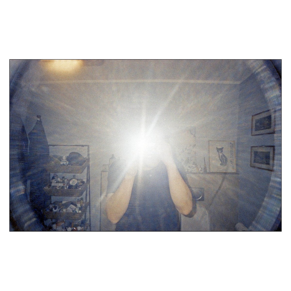 #selfportrait #c41 #developedathome #35mmfilm #plasticcamera #fotografiaanalogica #autoritratto #colorfilmphotography #filmphotography