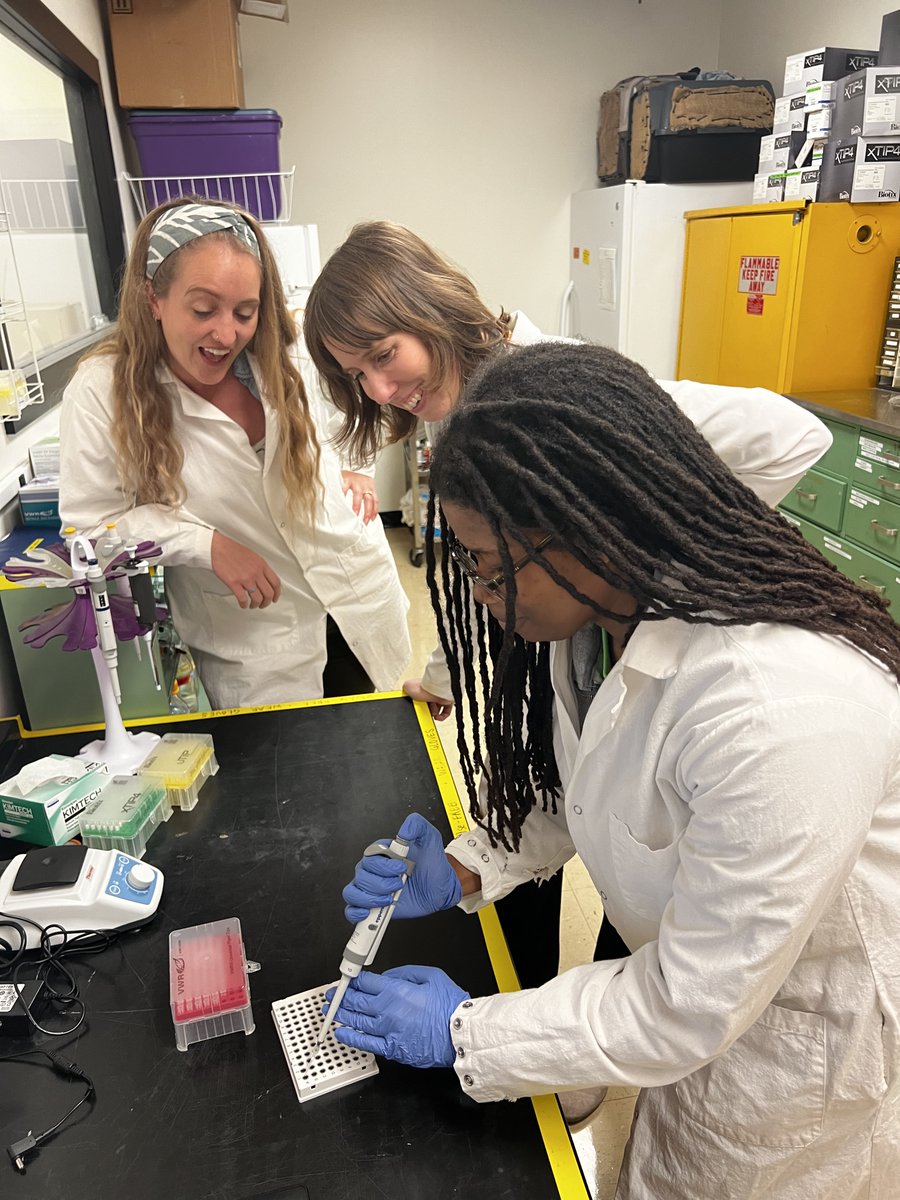 LSU Department of Biological Sciences (@lsu_biosci) on Twitter photo Congrats to our <a href="/KenediLynch/">Kenedi</a> who successfully defended her Senior Honors Thesis in @c_lattin's lab on tissue-specific cytokine responses to avian malaria. She and <a href="/BirdBrainTosh/">Tosha Kelly, PhD (she/her)</a> said it's been a joy to mentor Kenedi in research over the last four years. <a href="/lsuscience/">LSU College of Science</a> Congrats to our <a href="/KenediLynch/">Kenedi</a> who successfully defended her Senior Honors Thesis in @c_lattin's lab on tissue-specific cytokine responses to avian malaria. She and <a href="/BirdBrainTosh/">Tosha Kelly, PhD (she/her)</a> said it's been a joy to mentor Kenedi in research over the last four years. <a href="/lsuscience/">LSU College of Science</a>