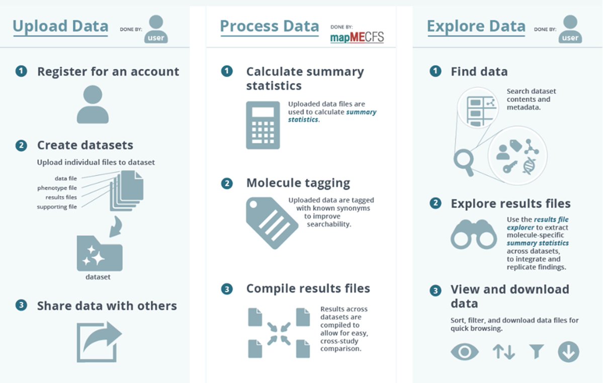 TheMECFSNet's tweet photo. By sharing data and specimens, we have the potential to uncover new discoveries that could revolutionize our understanding of #MECFS. Join us on this journey towards better treatments and ultimately, a cure! #MECFS #MECFSnet #mapMECFS #searchMECFS

💻https://t.co/jcLhs3CR4S https://t.co/V2FpO2Meeo
