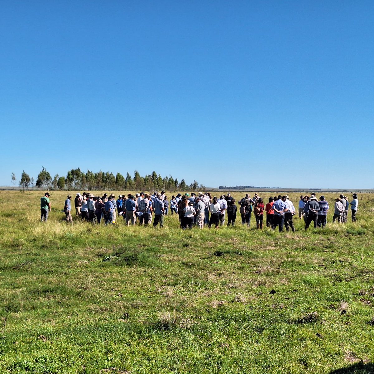 ✔️#CapinAnnoni 
✔️#Pasto 
✔️#VerdeosDeInvierno ...
🗣️ <a href="/totoklaus/">KLAUS SCHNEEBERGER</a>  Ing. Da Cunda <a href="/MartinKuchmanG/">Martín Kuchman Gómez</a>  <a href="/PereiraMachinM/">M. Pereira Machin</a> 

🖼️Galería de imágenes➕ℹ️ acortar.link/bwoRDX