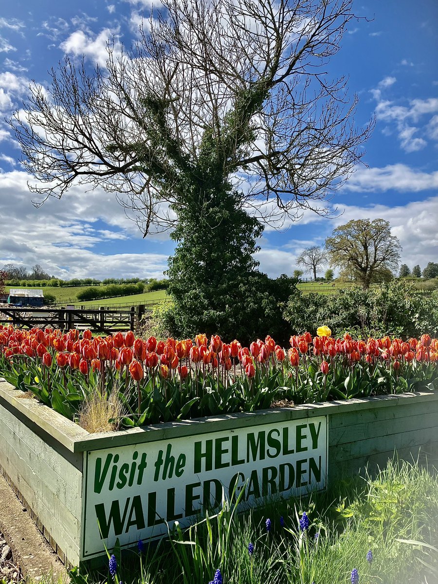 Helmsley- flowers and a castle, what more could you want? #Helmsley #NorthYorkshire