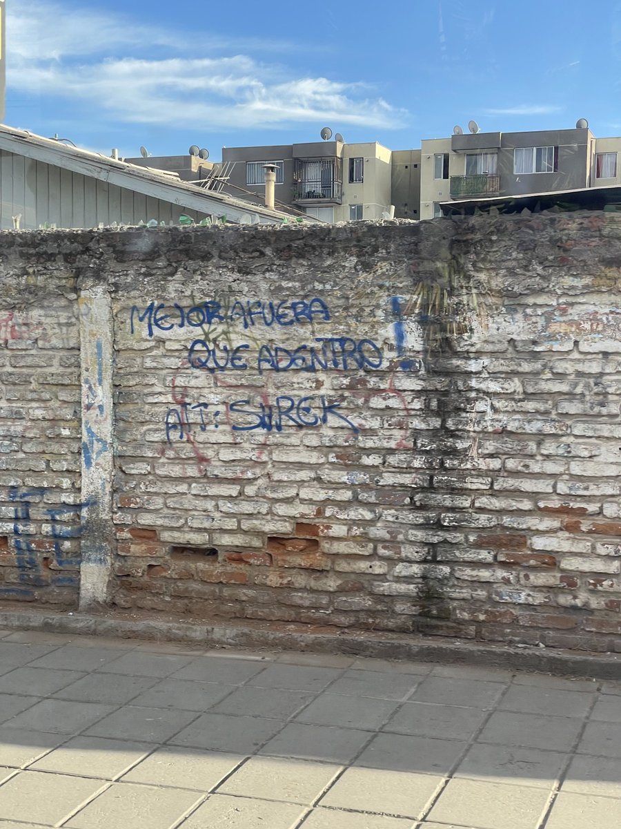 LawrenceSeba's tweet image. Mejor consejo o mejor consejo? 🤣🤣🤣🤣