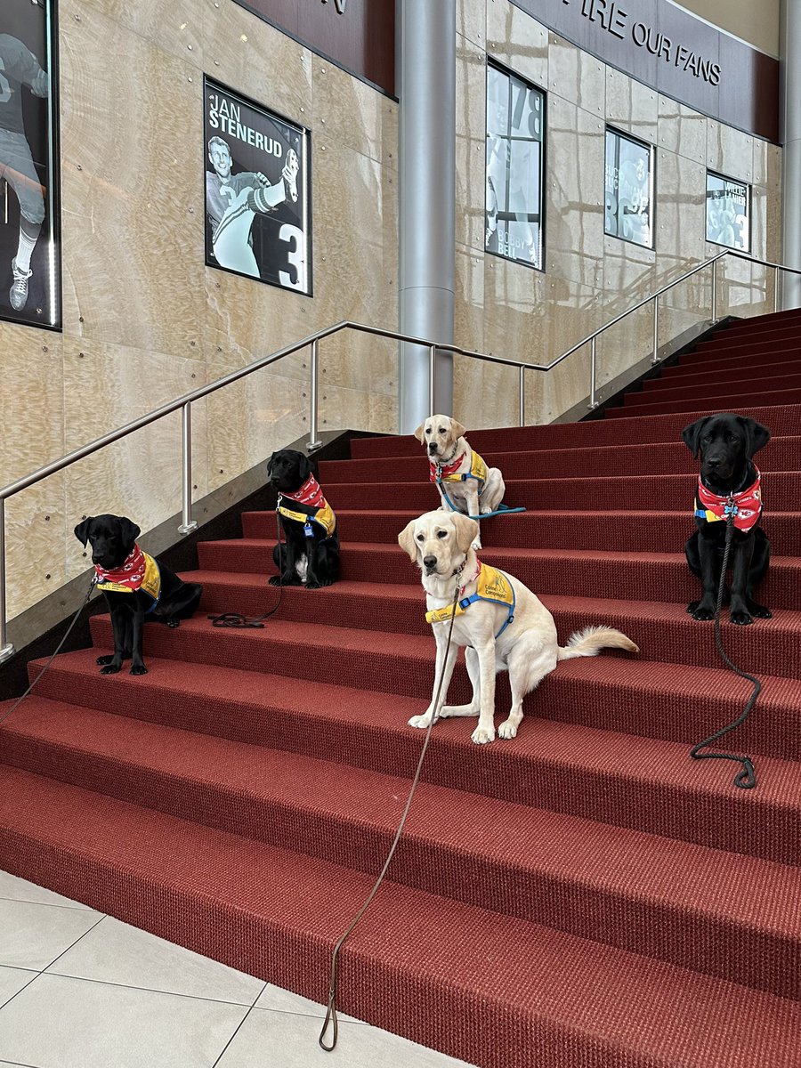 This was a good day at the office! Thanks for stopping by, @canineorg!