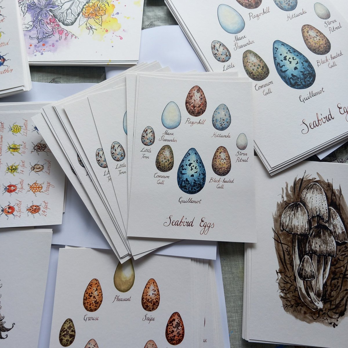 How exciting! A big bundle of prints has just arrived from the printers! Soon to be added to my etsy shop. . . #fineartprints #artprints #birdseggs #ladybird #inkcapmushroom #naturalhistoryillustration