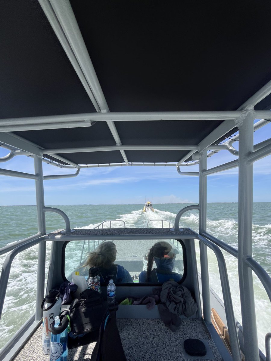 Coastal Conservation and Restoration Ecology Lab tweet media