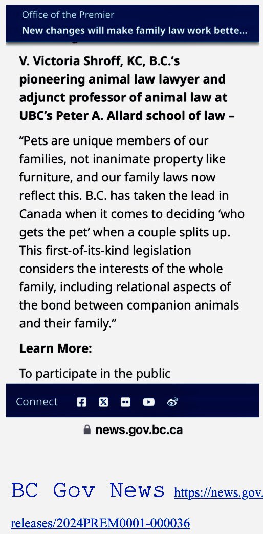 #AnimalsAreSentient beings. 
Pets are valued furry family members under BC’s groundbreaking new family law.

Thanks for inviting me to discuss #PetCustody laws ⚖️🐾 @amyjudd
