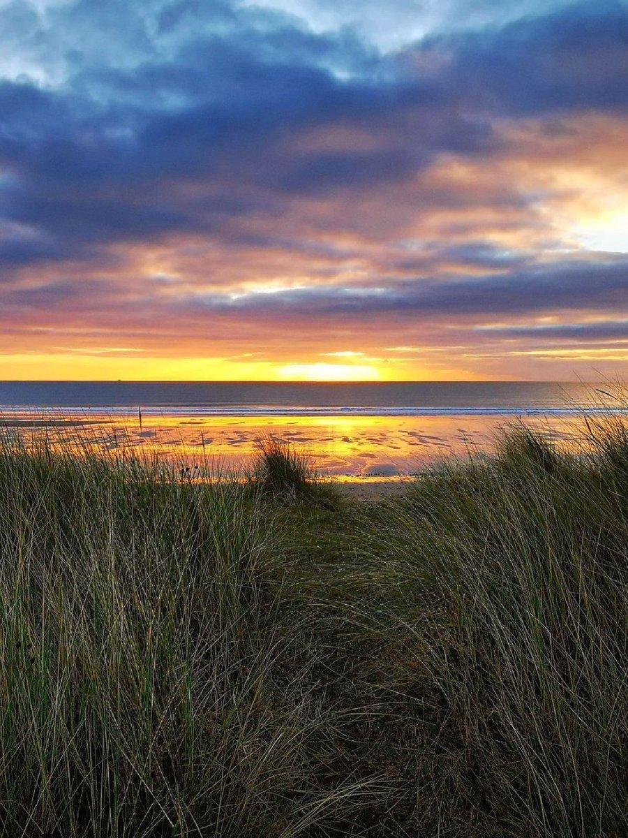 VisitScotland's tweet photo. How's this for a beach sunrise? 😍 Bringing you beautiful scenes from Arbroath 🌞

📍 near West Links Beach, @Visit_Angus 📸 IG/positively_outdoors https://t.co/MaWbpcz8HR