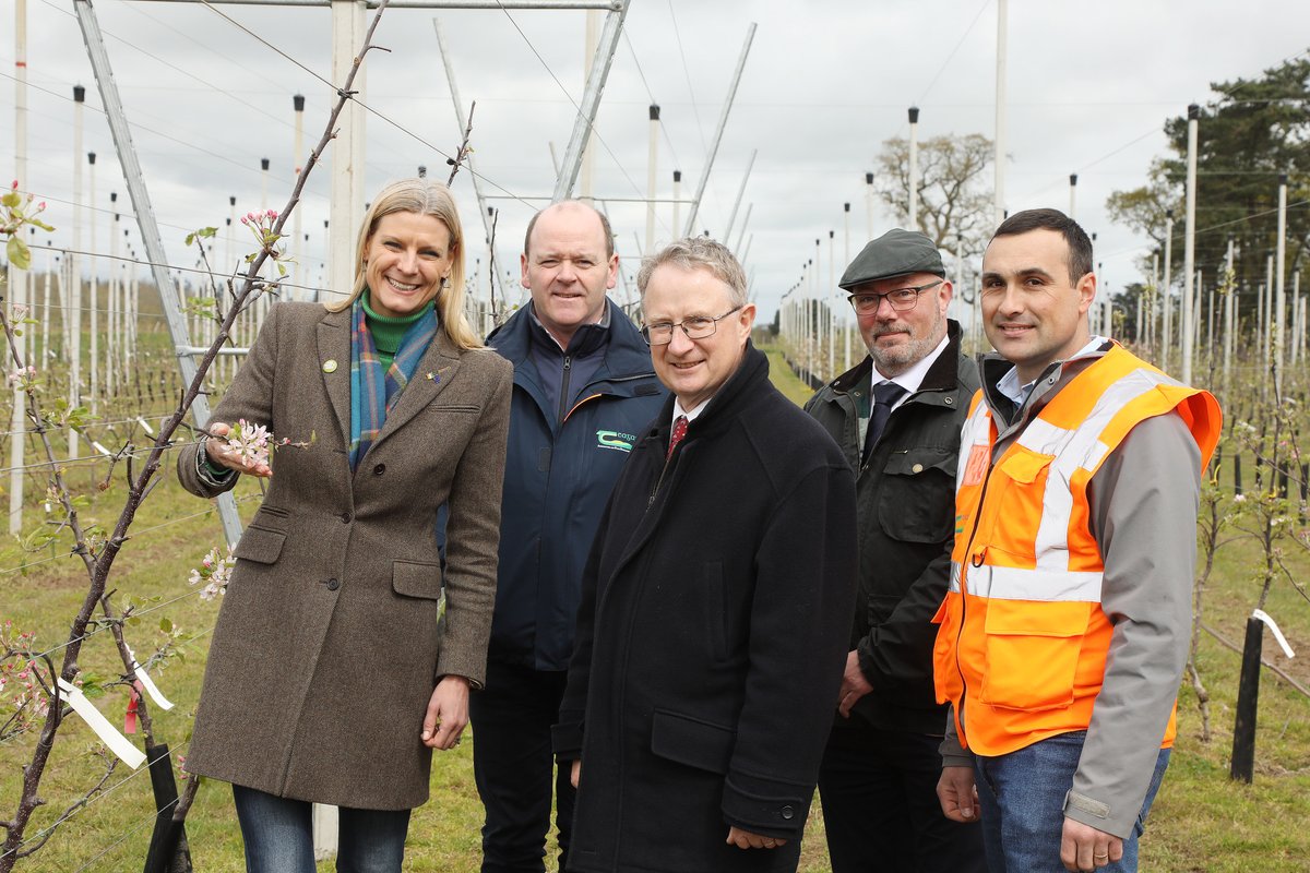 teagasc's tweet photo. The first Apple Research Update at Teagasc involving industry stakeholders marked a pivotal moment for Ireland's apple industry, offering a comprehensive overview of advancements &amp; future directions in applied research since the programme's inception. https://t.co/J4NxRWCbXk https://t.co/PObIWe7hyV