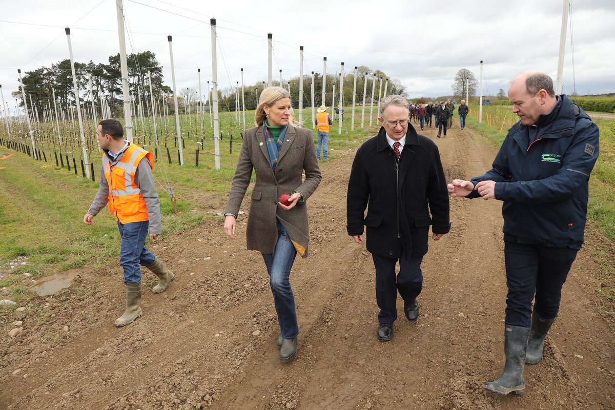 teagasc's tweet photo. The first Apple Research Update at Teagasc involving industry stakeholders marked a pivotal moment for Ireland's apple industry, offering a comprehensive overview of advancements &amp; future directions in applied research since the programme's inception. https://t.co/J4NxRWCbXk https://t.co/PObIWe7hyV