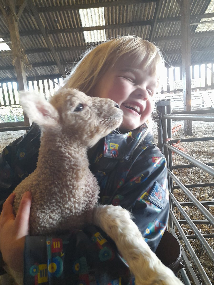 Farming life is not easy. There are many highs and many lows, but this picture ❤️😍
#Farming #backbritishfarming #familyfarming #lambing #lamb #love #Cornwall #lambing2024