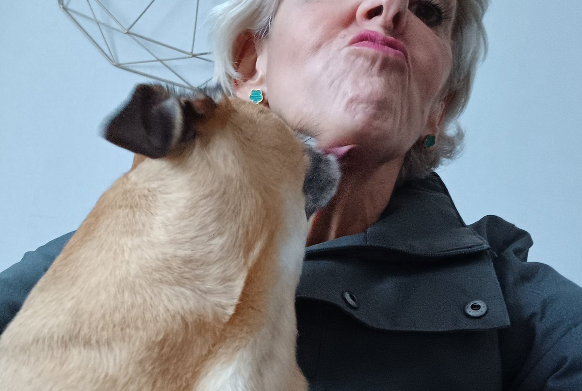 burrowingbolt's tweet photo. PA is dog sitting tonight, it's like "Honey I Shrunk The Kids" ๐๐๐๐๐ #dogsoftwitter #dogsofx #sausages #dachshund #littledogs #honeyishrunkthedogs https://t.co/m4aebyXieg