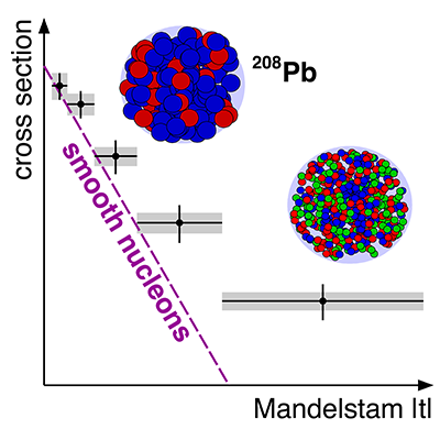 The measurement of the incoherent photonuclear production of J/ψ in ultraperipheral heavy-ion collisions by @ALICEexperiment is explained by the presence of subnuclear quantum fluctuations of the gluon field. go.aps.org/3vQUIA2