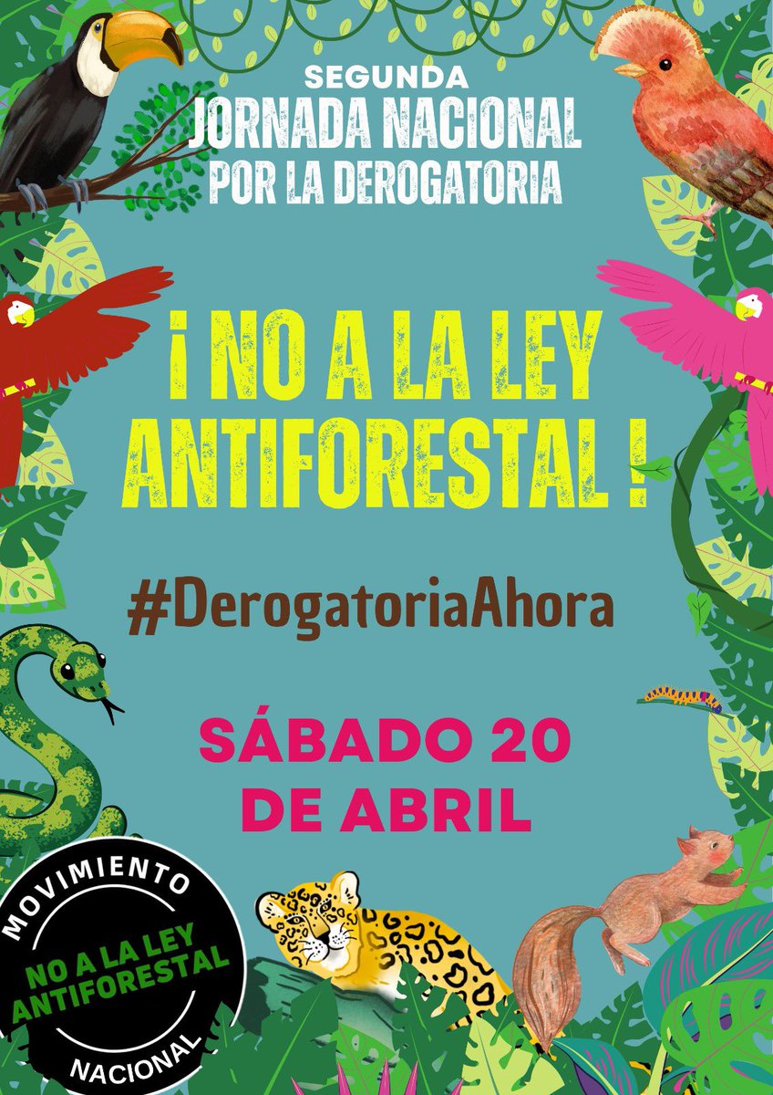 jurrunaga's tweet image. ¿Sigues viendo desde tu sillón cómo @congresoperu y el ejecutivo nos roban nuestros bosques y futuro con normas q violan #DerechosHumanos y promueven #EconomíasIlegales y #CrimenOrganizado?
Únete a las marchas en todo #Perú en contra de #LeyAntiforestal
#SinBosquesNoHayFuturo 🧵