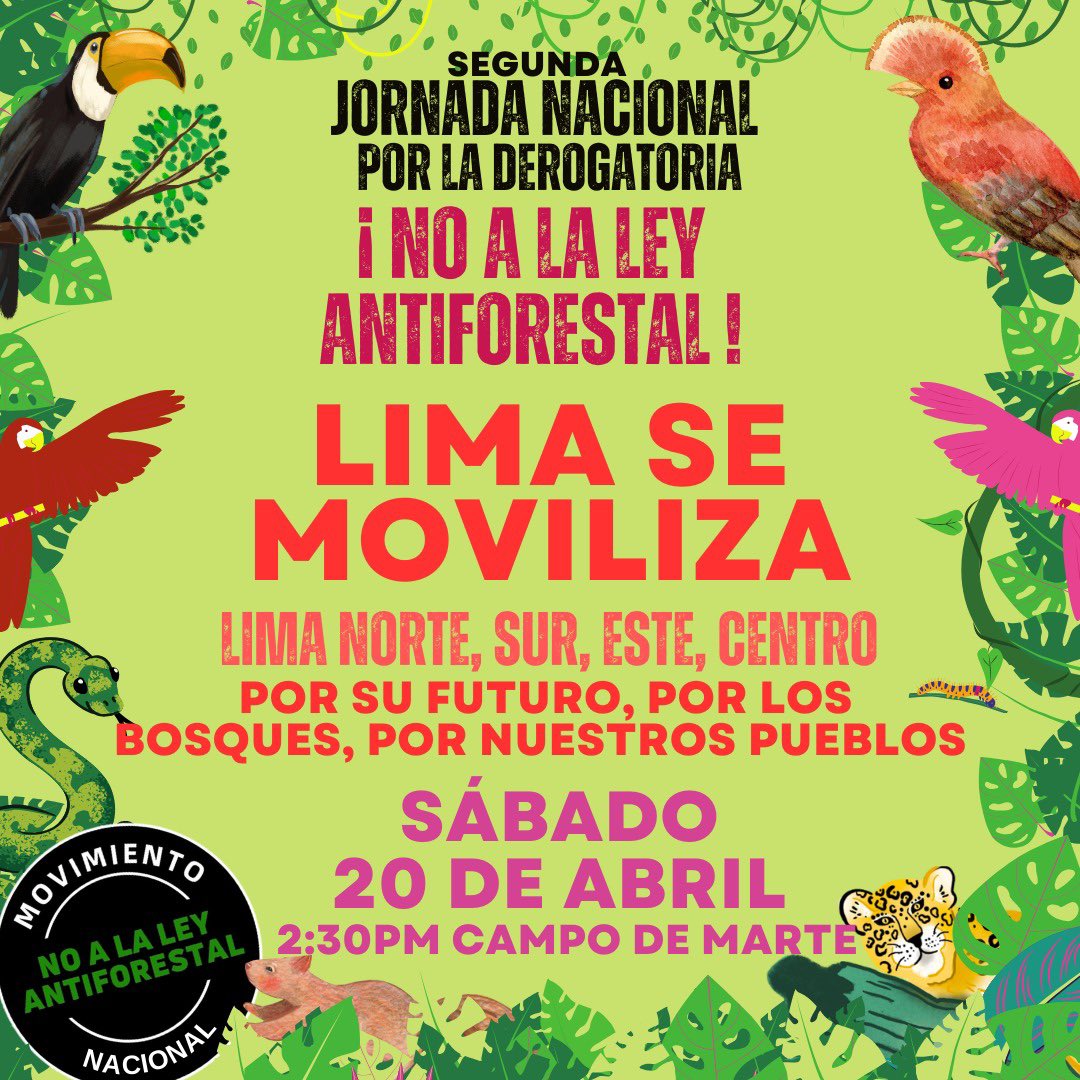 jurrunaga's tweet image. ¿Sigues viendo desde tu sillón cómo @congresoperu y el ejecutivo nos roban nuestros bosques y futuro con normas q violan #DerechosHumanos y promueven #EconomíasIlegales y #CrimenOrganizado?
Únete a las marchas en todo #Perú en contra de #LeyAntiforestal
#SinBosquesNoHayFuturo 🧵