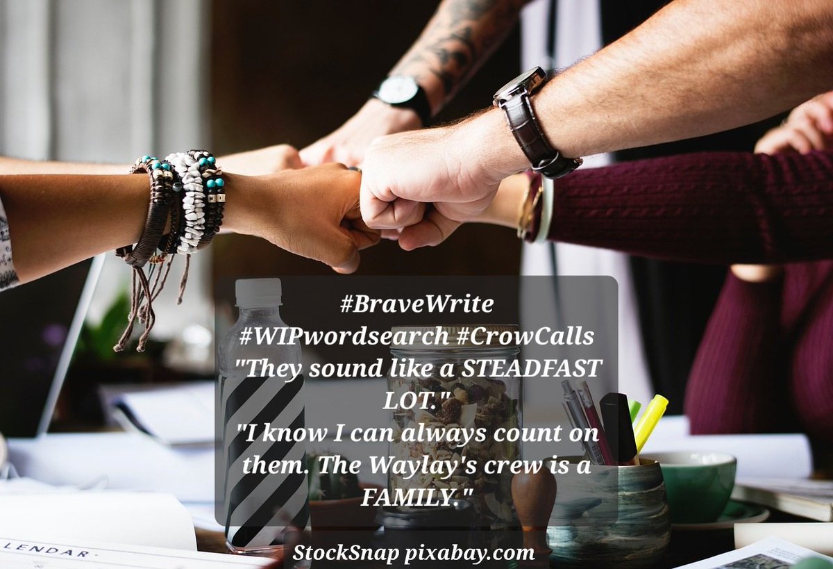 #BraveWrite #WIPwordsearch #CrowCalls
'They sound like a STEADFAST LOT.'
'I know I can always count on them. The Waylay's crew is a FAMILY.'
StockSnap pixabay.com