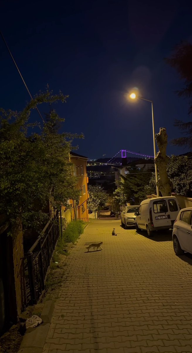 Bir Kızı Çok Sevmiştim Gitmiştik İstemeye
Pahalı Bir Çikolata, Bir Buket Çiçek İle
Takım Elbiseyi Giyip Atladık Bir Taksiye
Başladık Gitmeye, Kızın Evine..

Hoşgeldiniz Fasılları, Nasılsın Ayakları
Sordular Benim Babama, Ne İş Bu Delikanlı

Eee iyi akşamlar o zaman🌙