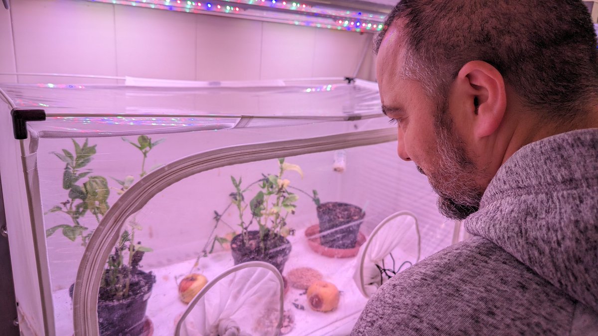 Rachidhamidi19's tweet photo. Collaboration between #ANPN @DISAFA_INT @INRAE_Lutte_Bio and @agroscope in biodiversity in crop systems https://t.co/3kxD1lMYOK