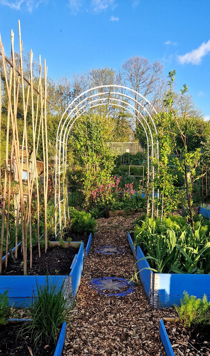 Weekend forecast: Gardening with a chance of meatballs 😋 😂😍 It's actually sunny right now (see the blue sky?!) and the plot smells deliciously sweet as the gentle breeze picks up gorgeous scent of flowering honesty 🥰💜🌞 Happy weekend! 💃 🥂