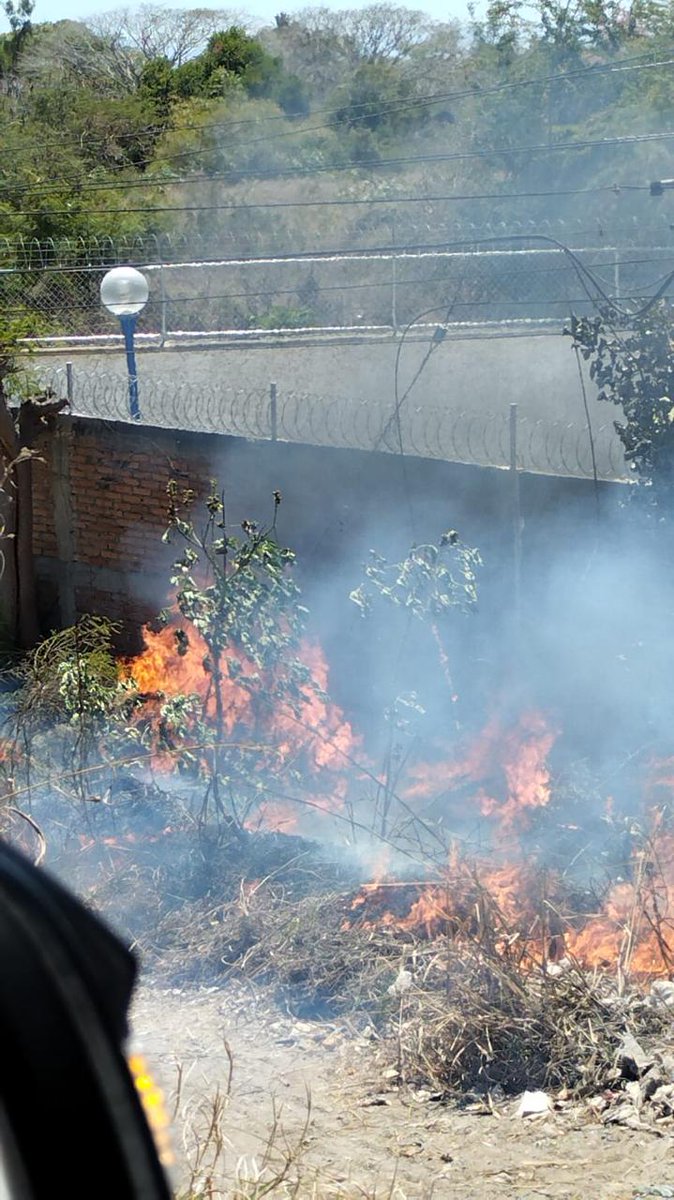 🔴 #BahíadeBanderas || Recomienda Protección Civil prevenir incendios en periodo de estiaje. 

📲metropolibahia.com/archivos/39456