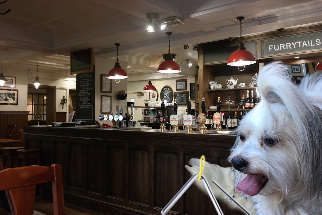 Welcome to #FurryTails I'm here I'm here I'm here I will be your barktender on duty for the next hours All pals are welcome Stop by for a beverage, snack, or a respite from your day