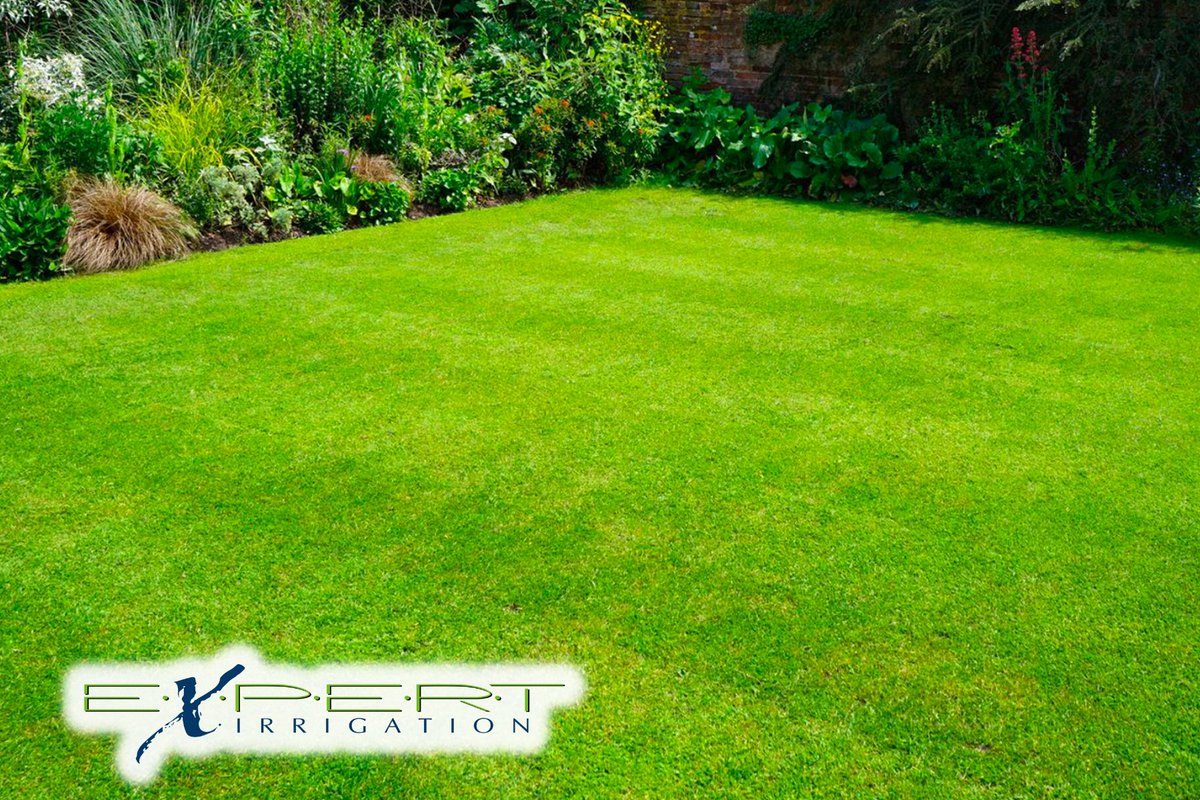 Struggling to maintain a lush lawn? Inconsistent watering can lead to dry patches. Invest in Lawn Irrigation Installation from Expert Irrigation to ensure even hydration and vibrant greenery! 💧🌱 #lawnirrigation #expertirrigation #healthyhome 🏡🚿