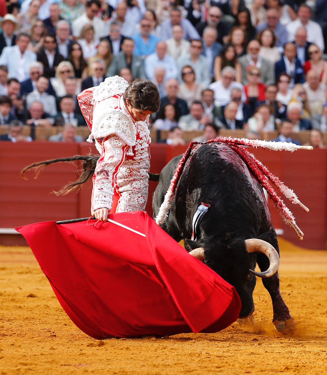 ✍️DIRECTO SEVILLA I 5º: La espada impide a un inteligente Castella pasear una oreja del quinto 💠Por Carlos Crivell @maestranzapages @MoranteTour @infoCastella @InfoTomasRufo aplausos.es/el-cartelazo-c…