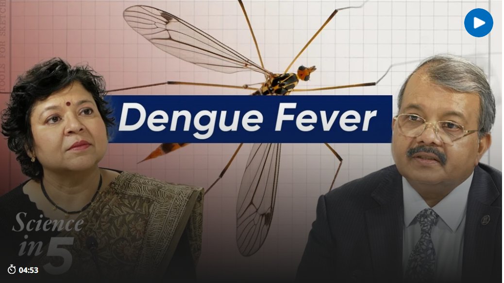 WorldDengueDay tweet media