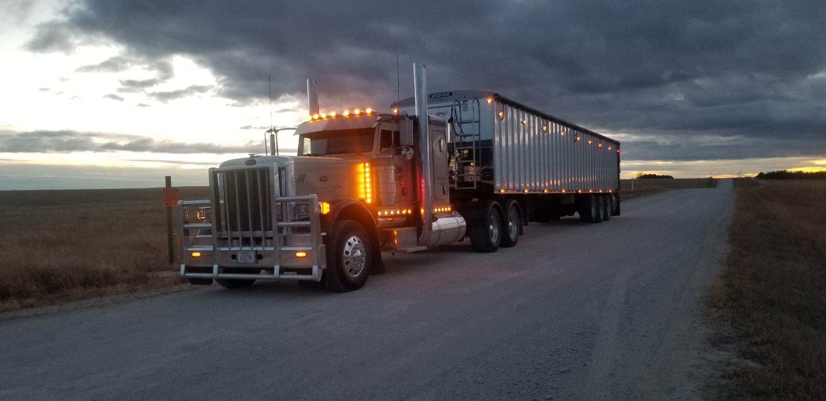 Do you feed DDG? I'd love the chance to earn your business. Get a hold of me for a price quote. Mahony Commodities prides itself delivering top notch, transparent service. #DDG #Cattlefeed #feedlot #agricultre