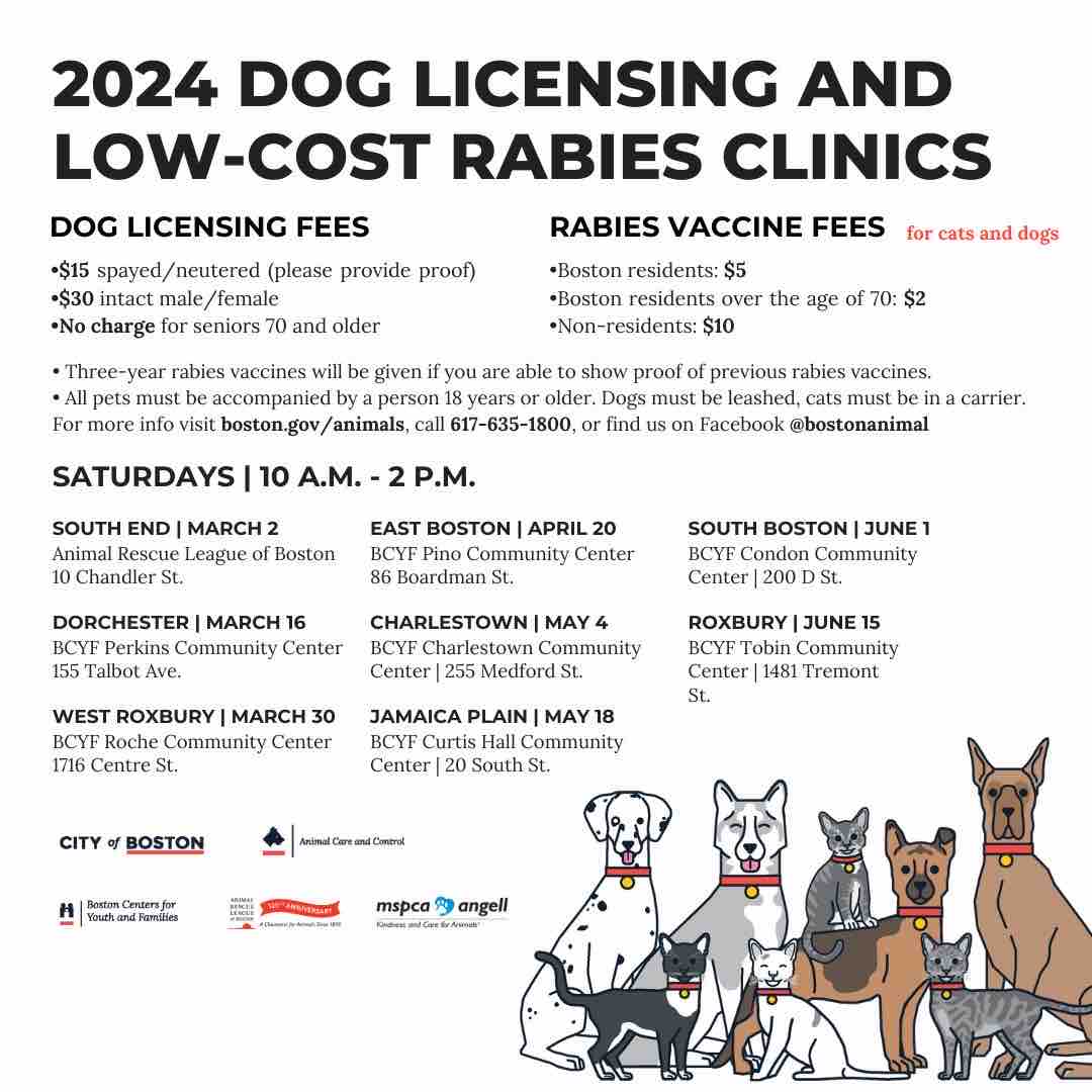 The dog licensing and low cost rabies clinics visit BCYF Pino tomorrow, Saturday, April 20. Learn more at Boston.gov/Animal.