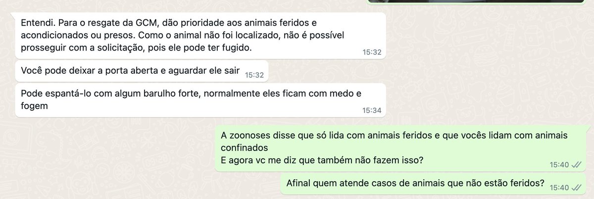 Entrou um saruê no porão de casa. Ligo no Controle de Zoonoses. 'Só resgatamos animais feridos. Fale com a GCM.' Ok. Ligo então na GCM. 'Só resgatamos animais feridos.' São Paulo está ABANDONADA e os cidadãos são feitos de palhaço. E aí, @prefsp ???